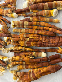 Reishi Mushroom Grow Kit