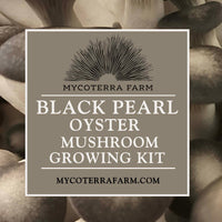 Black Pearl Oyster Mushroom Grow Kit