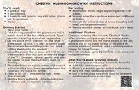 Chestnut Mushroom Grow Kit