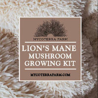 Organic Lion's Mane Mushroom Grow Kit