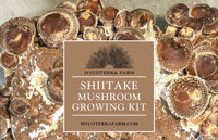 Shiitake Mushroom Grow Kit
